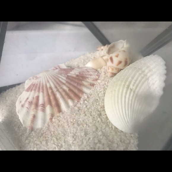 Decor - Picture 4 of 4